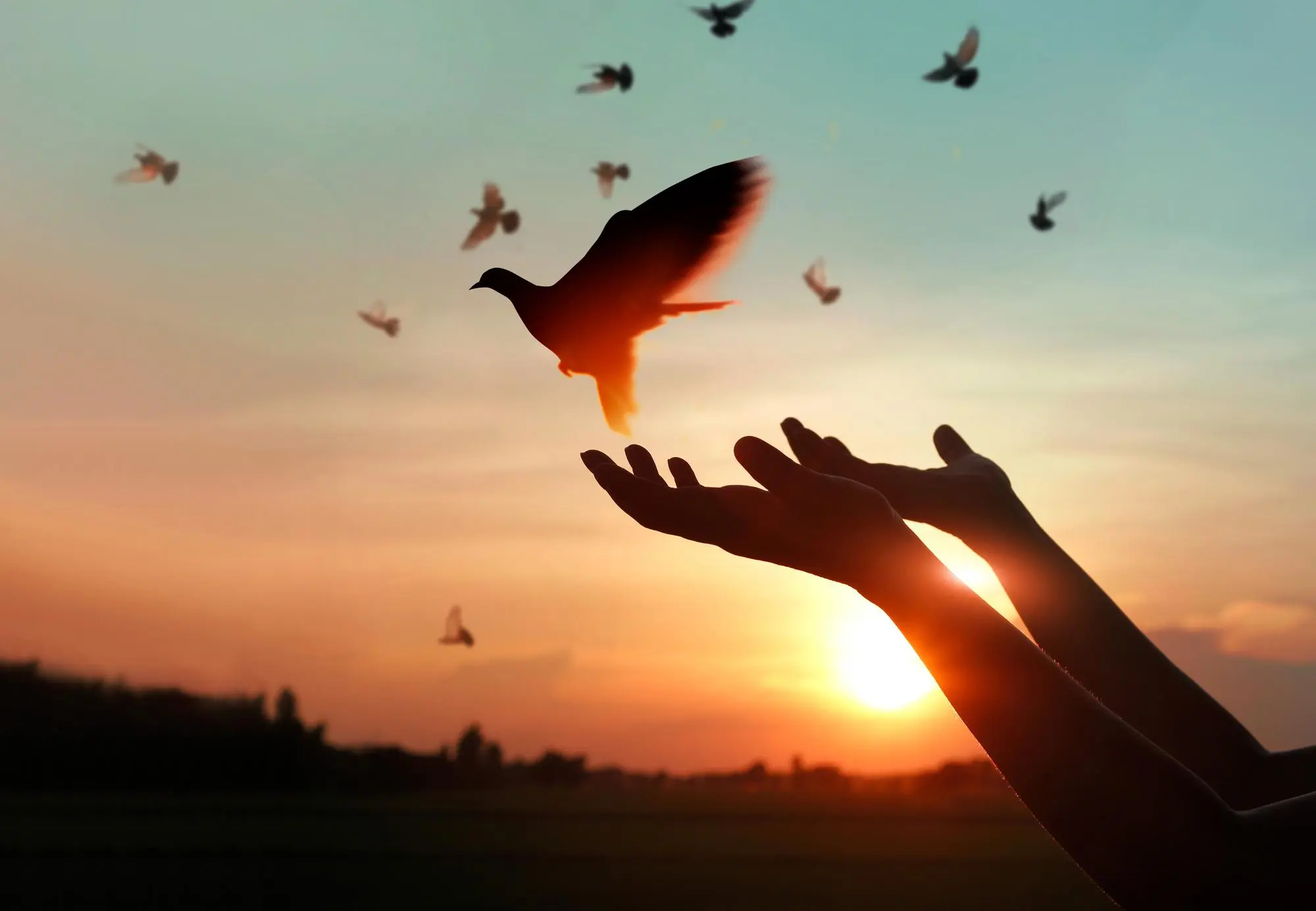 About Mindful Solutions Psychiatry